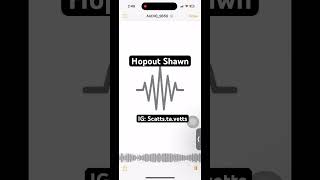 hopout Shawn snippet unreleased hopoutshawn [upl. by Keiryt]