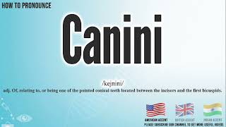 Canini Pronunciation  How to Pronounce say Canini CORRECTLY  Meaning Definition [upl. by Antony]