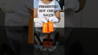 How to make Fermented Hot Chilli Sauce chilisauce [upl. by Katti894]