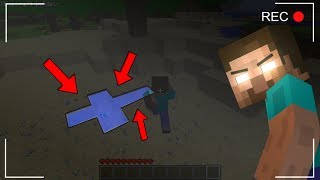 HO VISTO HEROBRINE IN UN MIO VIDEO [upl. by Neenaej]