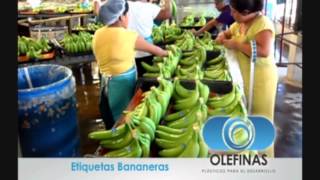 Etiquetas para Frutas Banano [upl. by Ephrem]