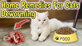 How to Deworm a cat with Home Remedies  Home Remedies for Deworming Cats  Cat Worms Treatment [upl. by Niki]