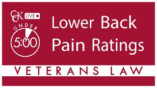 2024 VA Disability Rates  PTSD Lawyers [upl. by Castara]