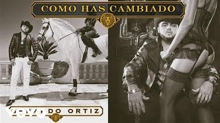 Gerardo Ortiz  Cómo Has Cambiado Audio [upl. by Prakash]