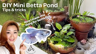 Simple DIY mini patio pond How to make betta fish pond at home  complete ecosystem NO TECH [upl. by Entwistle507]