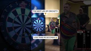 THE BEST LEG OF CRICKET EVER  Stowe Buntz cricket USAdarts StoweBuntz darts [upl. by Aerol100]