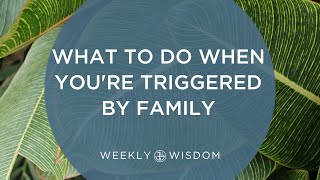 What to Do When Youre Triggered by Family  Jungian Life Coaching [upl. by Llerdnad826]