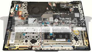 🛠️ How to open Lenovo ThinkPad T16 Gen 3  disassembly and upgrade options [upl. by Parris]