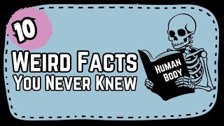 10 Weird and MindBlowing Facts About the Human Body  Amazing Body Trivia  facts humanbody [upl. by Giverin]