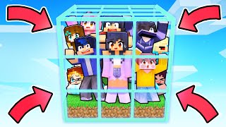 10 FRIENDS in 1 BOX in Minecraft [upl. by Egedan]