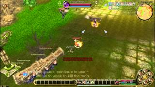 FlyFF How to level fast with DoT Skill Flame Geyser [upl. by Zahara]