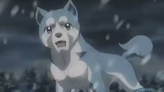 Ginga Densetsu Weed Episode 26 Eng Subs Re Upload [upl. by Naliorf]