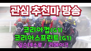 9월1주차경마 코리아컵코리아스프린트 총상금30억 또 일본 싹 쓸어 간다 [upl. by Thaine]