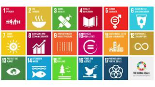 UN Sustainable Development Goals SDGs What They Are amp Why Theyre Important [upl. by Nicholas]