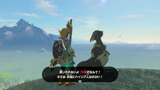 【BotW】 風になる訓練 BtBでリング70個コンプリート [upl. by Novihc971]