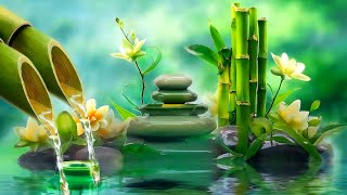 Beautiful Relaxing Music 🌿 Water Sounds Deep Sleeping Music Meditation Music Relaxing Piano [upl. by Lenad433]