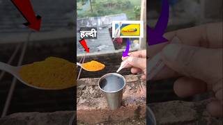 Haldi and favequick s science experimentviralvideo shorts experiment trending [upl. by Lytsyrk]