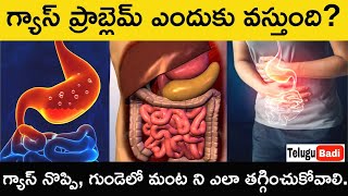 Gas Problem Explained Telugu  Gastric Causes Symptoms Treatment in Telugu How to Cure Gas Pain [upl. by Lorry]