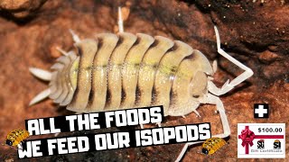 All the Foods We Feed Our Isopods  Plus 1 new Isopod Food [upl. by Acimad165]