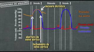 Fisiologia cardíaca Diagrama de Wiggers [upl. by Yenruoc10]