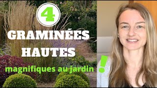 4 GRAMINÉES HAUTES magnifiques au jardin [upl. by Caldera]