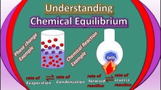 Chemical Equilibrium Examples Class 9 amp Class 11 Chemistry Animation  Digital Kemistry [upl. by Enaled]