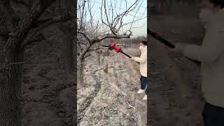 The wireless lithium battery chain saw is shockproof and antishake viralvideo youtubeshort [upl. by Becker]