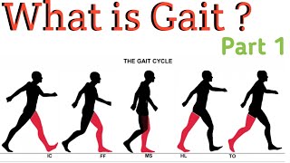 What is Gait  Gait cycle [upl. by Ivers100]