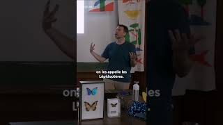 🦋 Pourquoi appelleton les papillons des quotLépidoptèresquot  papillon morpho insectes shorts [upl. by Enaelem]