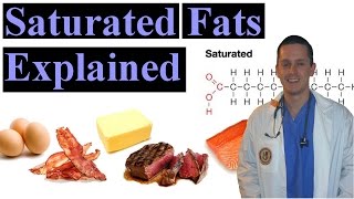 Saturated Fat Explained Made Easy to Understand [upl. by Kroo]