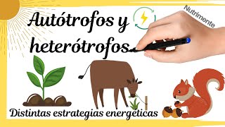 HETERÓTROFOS y AUTÓTROFOS Distintas estrategias energéticas [upl. by Dick]