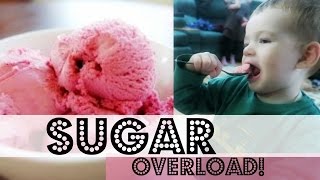 SUGAR OVERLOAD  Somers In Alaska Vlogs [upl. by Drawe]