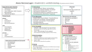 Akutes Nierenversagen  Zusammenfassung für das Medizinstudium und USMLE [upl. by Ailec4]