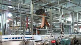 Robots Packaging Budweiser Beer Brewery Tour St Louis Missouri0684MOV [upl. by Bobbie]