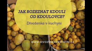 Jak rozeznat KDOULI od KDOULOVCE [upl. by Marmion]