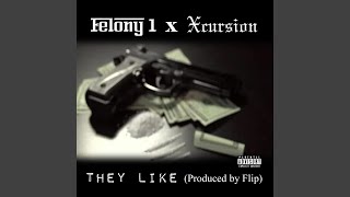 They Like feat Felony 1 [upl. by Teufert760]