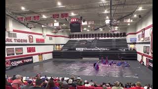 Edwardsville High School JV Winter Guard 2023 quotUnMaskedquot [upl. by Onilegna]