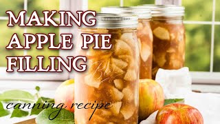 How to Can Apple Pie Filling A Fall Preserving Idea [upl. by Sylas]