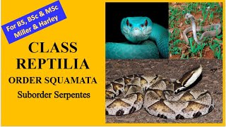 Suborder Serpentes Order Squamata for BS BSc MSc  Miller amp Harley [upl. by Lowrie]