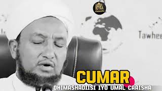 Cumar dhimashadiisi Iyo umal Caisha ⁴ᴷ┇Sheekh Xusen Cali Jabuti foryoupage find find Viral [upl. by Yentrac]