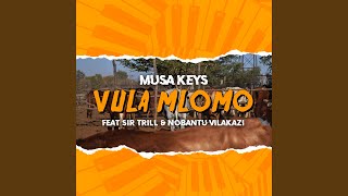 Vula Mlomo feat Sir Trill Nobantu Vilakazi Radio Edit [upl. by Manny39]