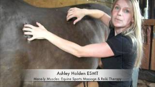 Horse Massage Warmup Techniques for the Topline [upl. by Eanar963]