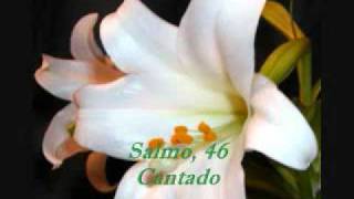 Salmo 46 Cantado [upl. by Arral]