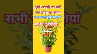 दुर्गा अष्टमी पर करें अचुक उपाय 1साल भरी रहेगी तिजोरी सभी 12राशियो के लिएastrologyhoroscoperashi [upl. by Bertelli]