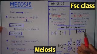 Meiosis  Cell Division  Class 12 Biology [upl. by Thar]