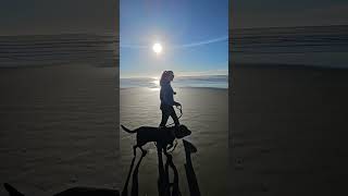 Walking on a beach lifesabeach beachvacation beachlife wesport pnw pnwwonderland boardlife [upl. by Barn]