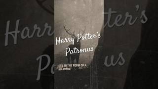 Harry Potter’s Patronus Charm harrypotter hogwarts potterhead slytherin hermionegranger tiktok [upl. by Annahc279]