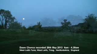 Birdsong Dawn Chorus England 26th May 2013 [upl. by Hola]