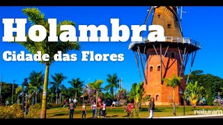 Holambra Cidade das Flores Passeio de 1 dia em Holambra  o que fazer onde comer e pousadas [upl. by Natalina]