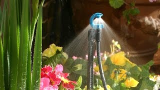 Antelco CFd® Downspray Micro Irrigation Spray Jets [upl. by Licastro]